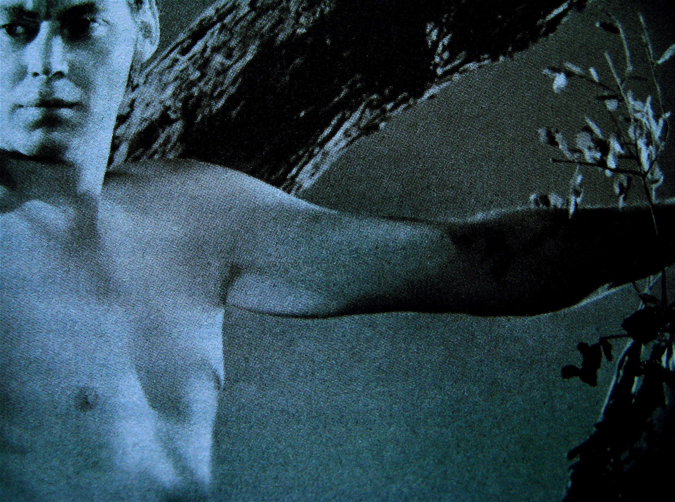 Photo: Federico Novaro