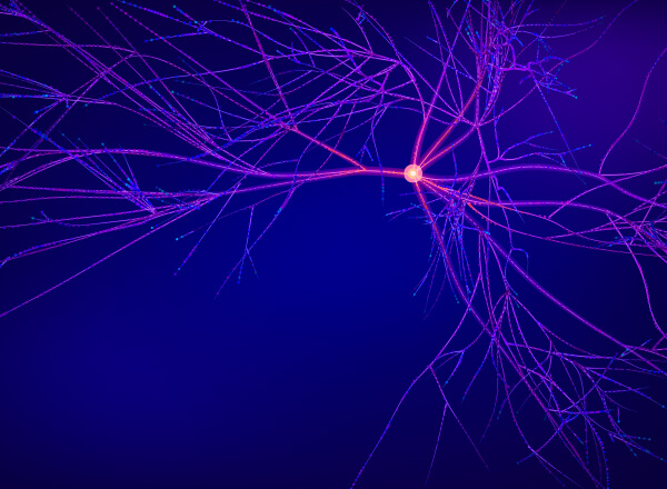 Bio Eats World: The Biology of Pain | Andreessen Horowitz