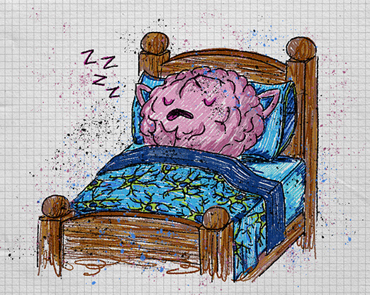 What Happens in the Brain During Sleep?